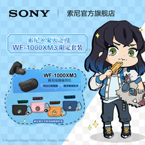 Sony Sony WF-1000XM3 True Wireless Bluetooth Active Noise Reduction Headphones Ghost-Edged Limited Suit