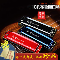 Tianyi Blues Harmonica Harmonica 10 Holes Full Soundstage Blues Adult Children Beginners Professional Playing Class