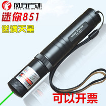 Normally bright tail switch 851 flashlight Long bright laser light Mini sales pen Green light pen Funny cat red light invoicing