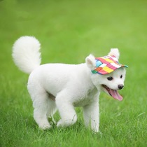 Pet baseball cap Net Red Dog cap cat sunshade hat Korean canvas decorative cap denim