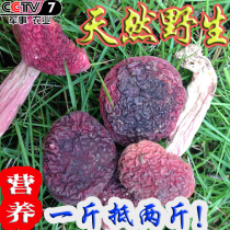Red mushroom wild shiitake mushroom dry goods Fujian Sanming red vertebra strain 500g Wuyishan Yuezi Honggu authentic red mushroom