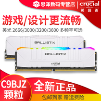 Yingrui Da Meiguang DDR4 8G 3200 3000 3600 desktop memory module C9BJZ overclocking RGB suit C9BLJ