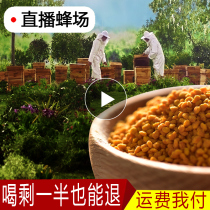 High quality lotus pollen 500g pure natural fresh farm home-grown Lotus pollen edible bee pollen