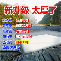 Fish pond anti-seepage membrane Aquaculture fish pond waterproof cloth geomembrane pool hdpe slope protection leak-proof anti-seepage plastic film