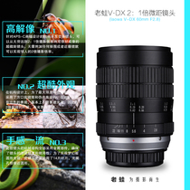 Changgeng Optical Lao Frog laowa 60mmF2 8 2:1 times ultra-macro lens SLR micro single photography lens