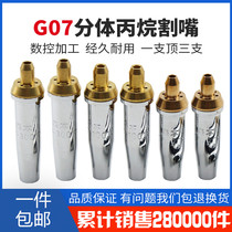 Split cutting nozzle propane G07-30 100 300 stainless steel gas liquefied gas plum blossom cutting nozzle torch