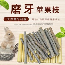Rabbit grinding apple hamster gold sweet dragon cat rabbit special branch to grind teeth to grind calcium pet