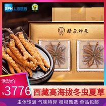 Tibet Naqu medicine God elephant Cordyceps sinensis 8 Keza Flower 2 boxes gift box soaked in water soup 44-46 roots per small box
