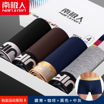  Antarctic mens underwear boxer shorts pure cotton sexy spring youth breathable modal boxer shorts leggings panties