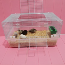 Rutin chicken cage quail bird pet balcony odorless fermentation bed new deepened anti-picking food box