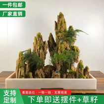 Landscape Bar boutique special offer Water-absorbing stone bonsai Water-absorbing stone rockery Qishi micro-landscape Home office Feng Shui landscaping