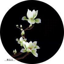 ] Su embroidery diy beginner kit Simple black bottom green magnolia hand embroidery material package