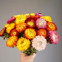  Yunnan natural fresh dried flowers real flowers small daisies sunflower sun flower bouquet small fresh set combination with vase