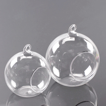 Transparent glass bottle with water culture plants in the air hanging of water glass ball in the air hanging scene