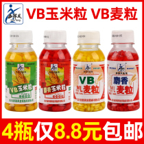 Western wind fishing VB corn grain Musk wheat grain fresh tender corn carp grass carp adhesive hook corn bait