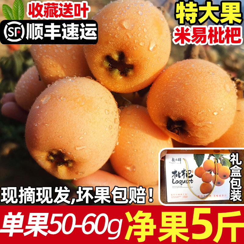 鲜枇杷-鲜枇杷促销价格、鲜枇杷品牌- 淘宝