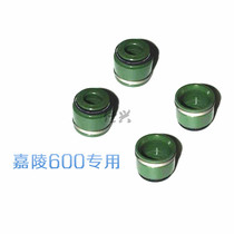 Jialing 600 valve oil seal JH600BJ JH600-A JH600B-A original valve oil seal oil cover