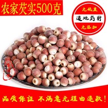 Farmers self-produced Cesi Zhaoqing Gorgon owe real dry goods 500g non-Tongrentang new Gorgon barley tea