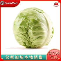 (YummyHunter-Beijing Broccoli)Fresh vegetables vegetables about 700-800g Singapore local delivery