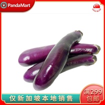 (YummyHunter-Small Eggplant)Purple eggplant fresh about 230g Singapore local delivery