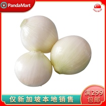 White onion 2 pounds of fresh vegetables delivered locally in Singapore