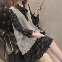 Pregnant women dress Autumn New loose size elegant knitted vest shirt shirt base skirt pregnant mother two-piece set