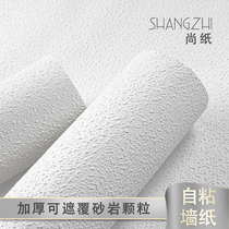 2021 New Nordic Vegan Color White Grain Silicon Algae Clay Self-Adhesive Wallpaper Brief Modern Pure Color Clothing Shop Wallpaper