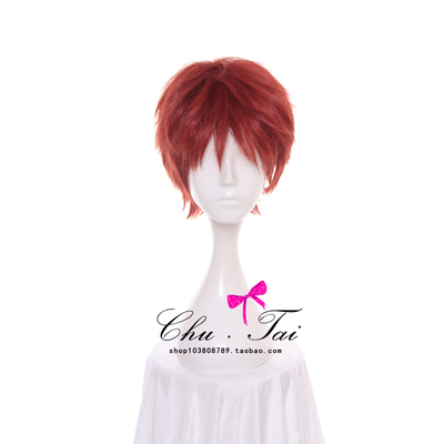 shirou emiya wig