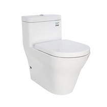 TOTO CW166B type toilet