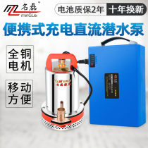 Famous Lei portable rechargeable DC submersible pump 12V24V48V Volt battery car household pump outdoor watering dishes