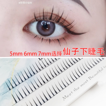 Lower Eyelash Mesh Red Fairy Hair Single Tufted Fairy Wool Natural Single Tuft Simulation 3 Roots One Cluster Single Grafting Mixed Dress
