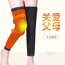 艾草护膝盖保暖老寒腿秋冬季护腿套加长四季防寒理疗关节痛品牌高