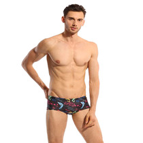 Fresh floating small flat corner swimming trunks mens triangle low waist professional sexy racing mens competition training swimming trunks
