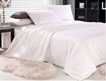 Five star hotel natural 100 mulberry silk quilted by silk quilt by the core 5 catties in the Dutch Four Seasons