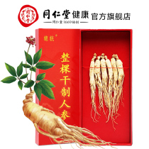 Mid-Autumn Gift Box) Beijing Tongrentang Dry Ginseng 50g Jilin Changbai Mountain Ginseng Gift Box Flagship Store