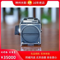 Hasu 503CW new set of machine A12 back brand new mainland licensed new Hasselblad 503CW