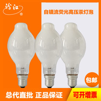 FSL Foshan Lighting Fenjiang self-ballast fluorescent high pressure mercury bulb 125W250W450W