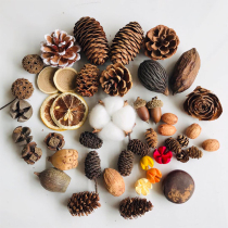 Pine cone wood chips leaves dried flowers and dried fruit combination set kindergarten decoration small ornaments retro photo props