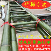 Moso bamboo ladder household herringbone ladder straight ladder 2 meters 3 meters 4 meters 5 meters 6 meters kindergarten bamboo ladder power engineering ladder