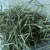 Minxian Timothy Beifei semi-drying high-quality four catties of grain Chinchow guinea pig pasture 21 feed Gansu Hay
