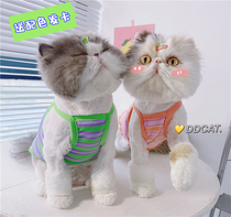 Bag bag cat girl meow striped small sling Candy color summer stretch thin section anti-hair loss pet cat and dog vest