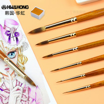 Korea Huahong 345 nylon hair round head watercolor painting brush gouache acrylic oil painting paint surface hook set