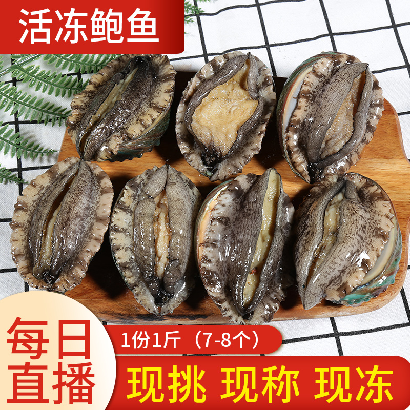 Fishermens children catch fresh wild seafood every day Live frozen abalone 7-8 pounds live now
