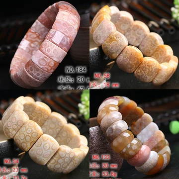 珊瑚化石-珊瑚化石促销价格、珊瑚化石品牌- 淘宝