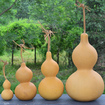 Natural Treasure Dachoe Zhaocai Decoration Decoration Wenplay Home Porch Feng Shui Natural Gourd Hangs with faucet