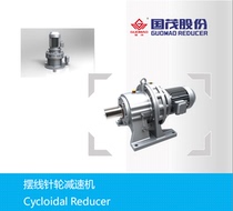 Guomao cycloidal pin wheel horizontal vertical gear reducer accessories high speed ratio high efficiency operation low noise