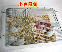 Experimental small white rat breeding cage breeding cage breeding cage breeding cage breeding cage connected to zero batch