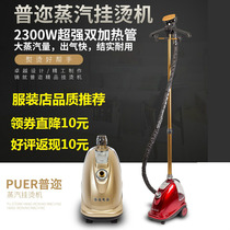Shanghai Puzhe steam ironing machine clothing store special 2300W super power large steam large capacity water tank