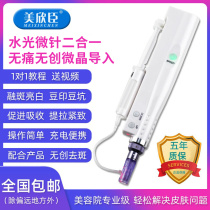 Nano-microcrystalline introduction instrument beauty salon spotting gun electric microneedle instrument