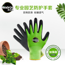 Flower tree gardening melodies protective gloves for home gardening